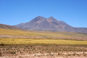 DSC_1060_altiplano.jpg